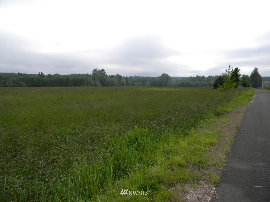 0 Mooney Road Montesano, WA 98563 - Photo 15 of 18 Gallery Image 15