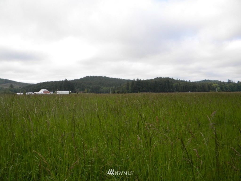 0 Mooney Road Montesano, WA 98563 - Photo 17 of 18 Gallery Image 17