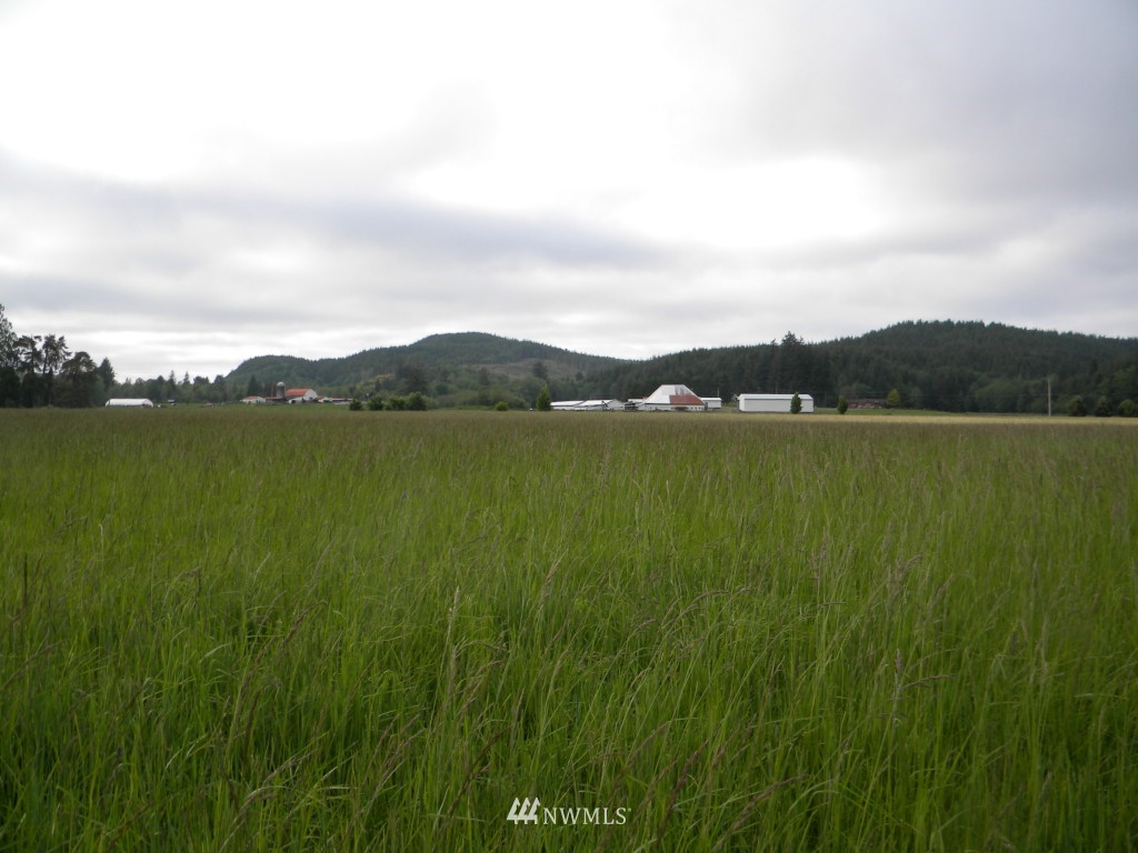 0 Mooney Road Montesano, WA 98563 - Photo 18 of 18 Gallery Image 18
