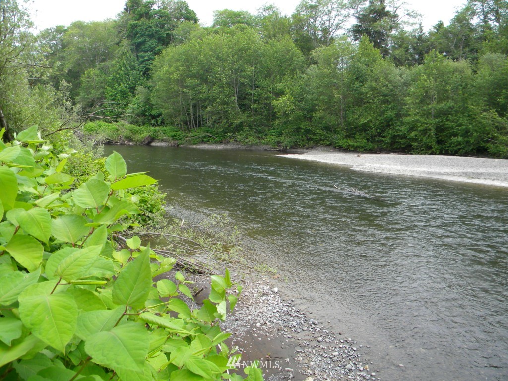 0 Mooney Road Montesano, WA 98563 - Photo 10 of 18 Gallery Image 10