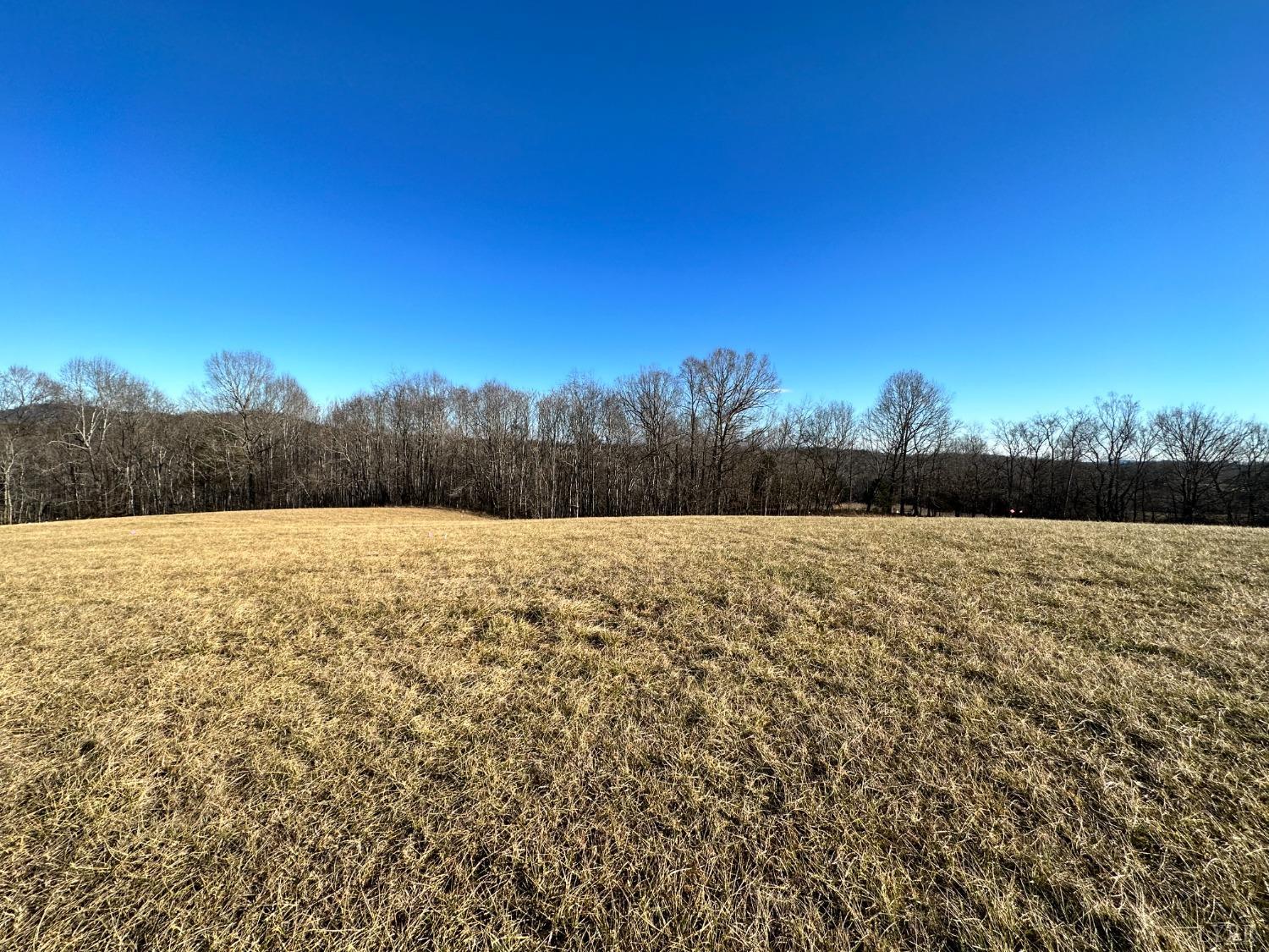 2 Hawkins Ridge Road Goode, VA 24556 - Photo 2 of 8 a view of outdoor space and trees