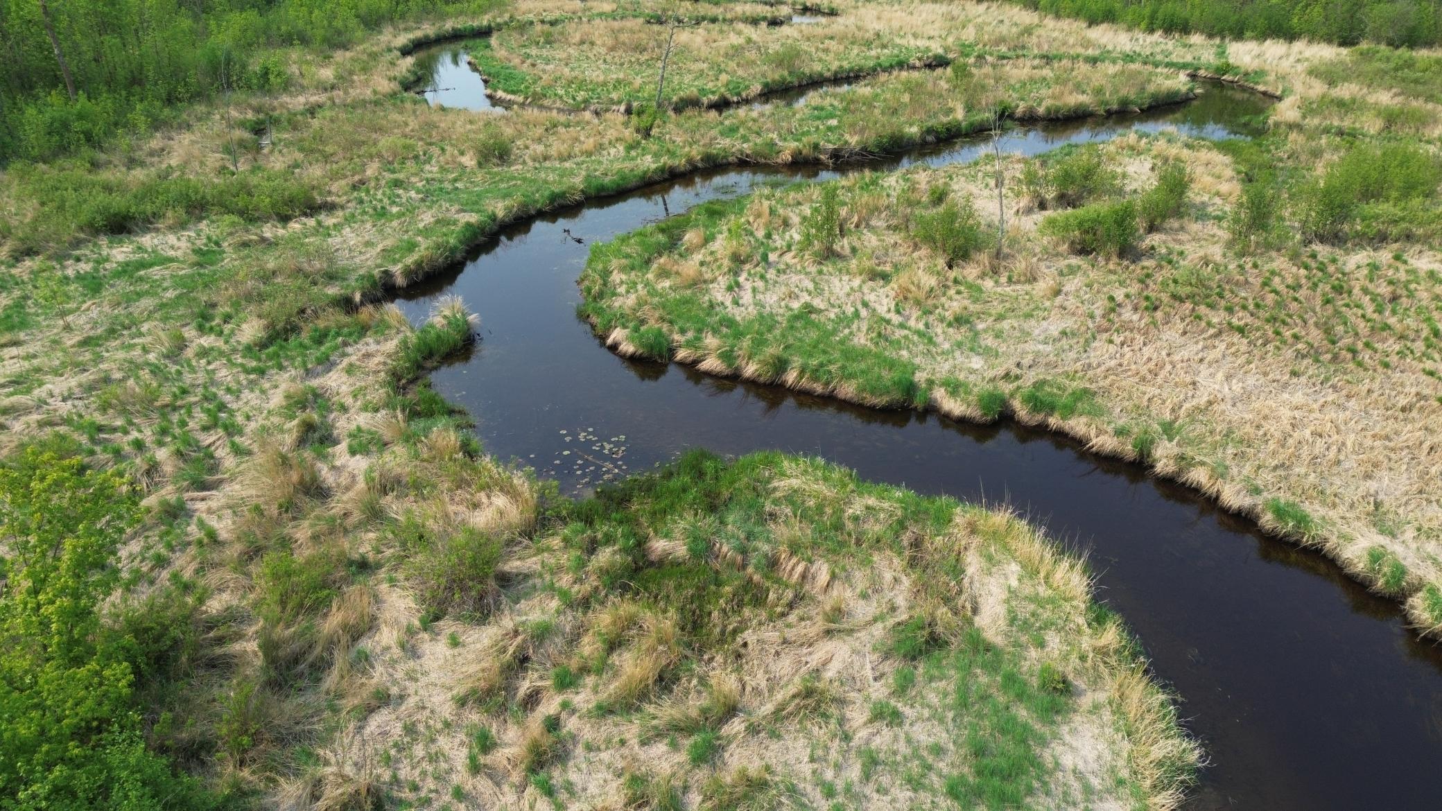 6 Remer Mn 56672 Remer, MN 56672 - Photo 6 of 10