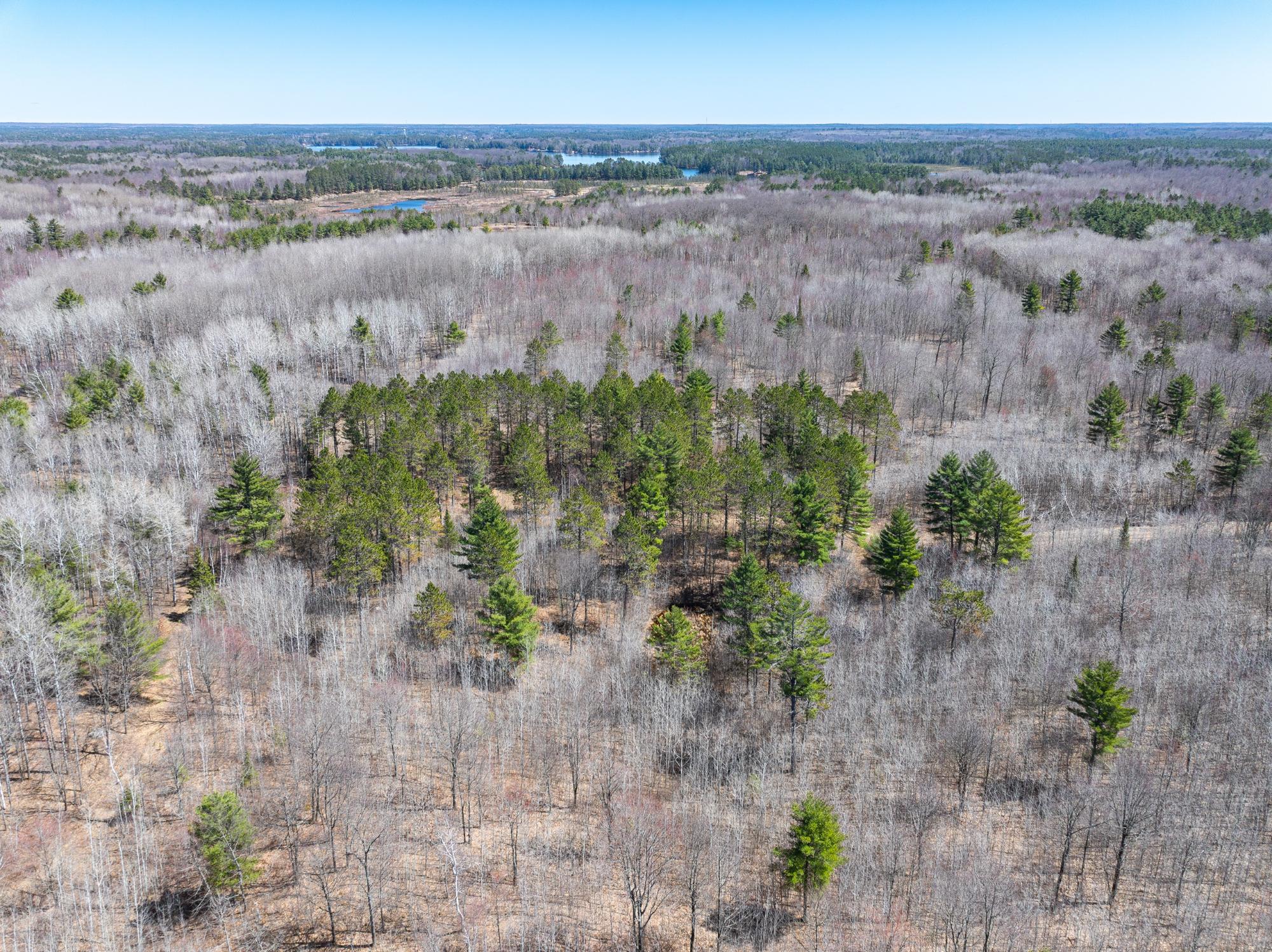 91-ac Sutton Road Minocqua, WI 54548 - Photo 9 of 9 Gallery Image 9