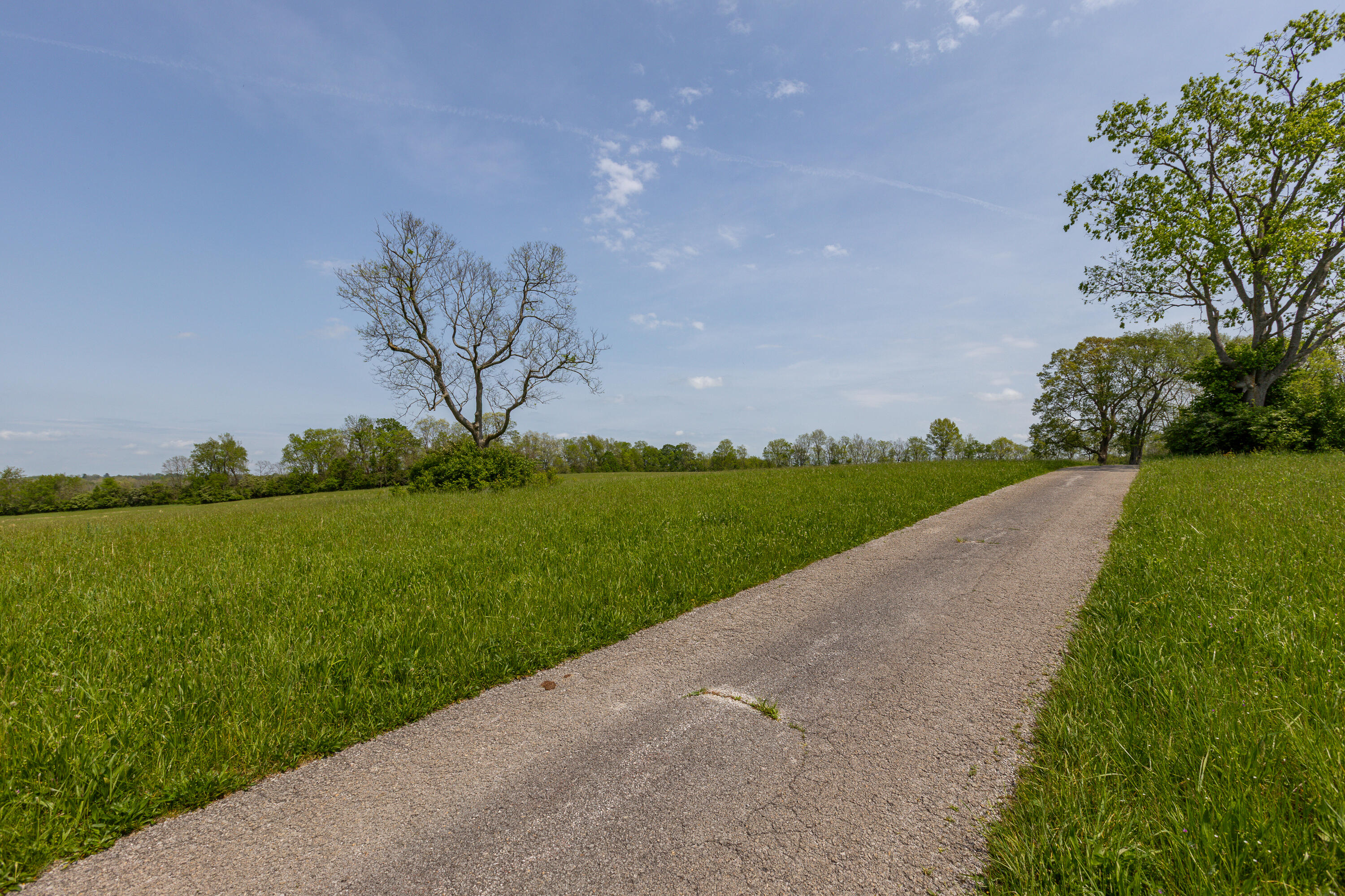 4440 B Lexington Road Paris, KY 40361 - Photo 14 of 14 14