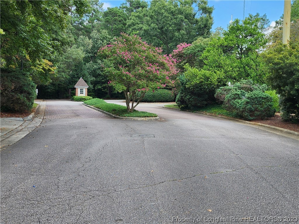 6111 Sunpointe Drive, Unit 104 Raleigh, NC 27606 - Photo 49 of 49 a view of a yard with plants and trees