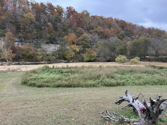 a view of a field with trees in background