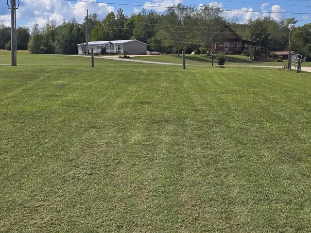 a view of swimming pool with outdoor seating and trees