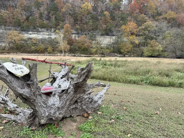 an aerial view of a yard with horses