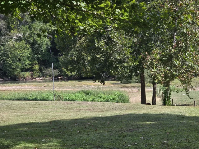 a view of a garden with an outdoor space