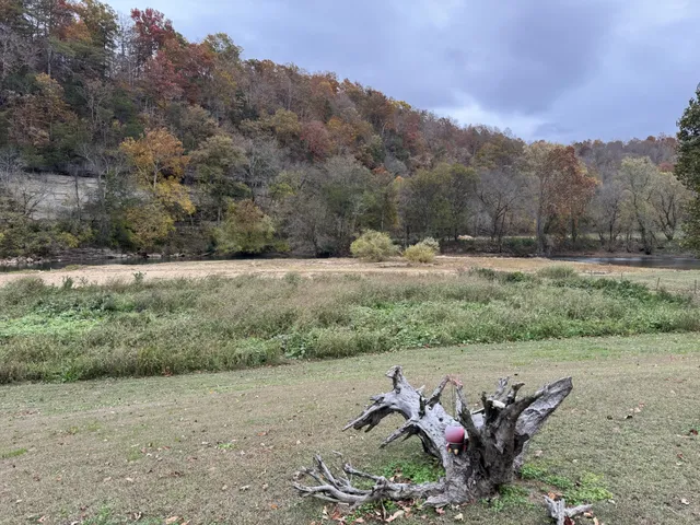a view of a field with trees in background