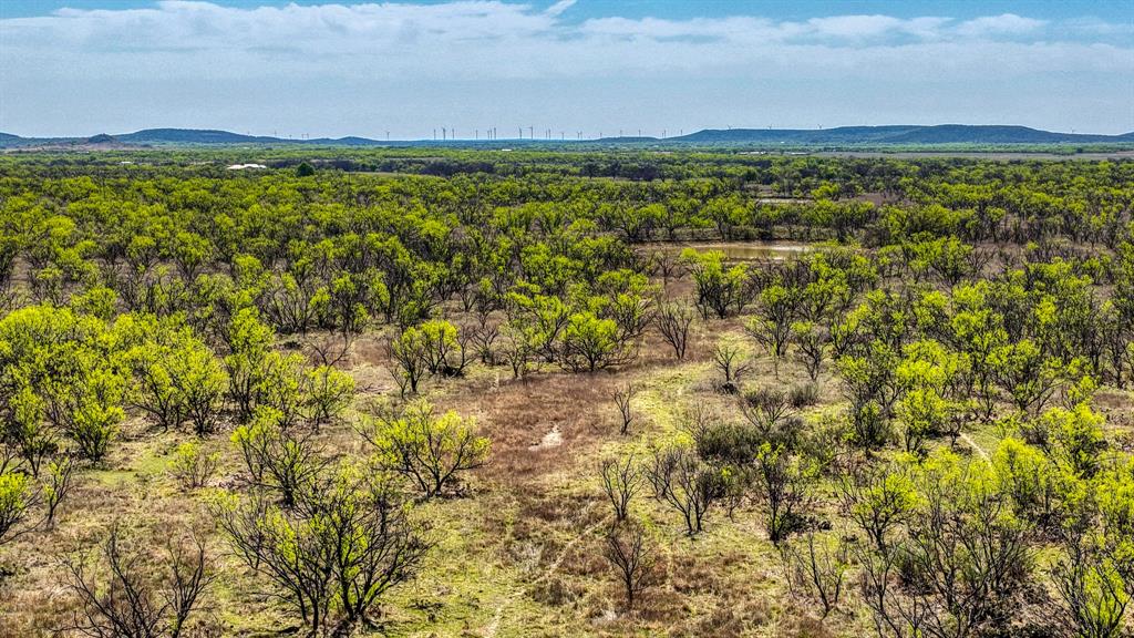 5600 Roney Road Loving, TX 76460 - Photo 11 of 27