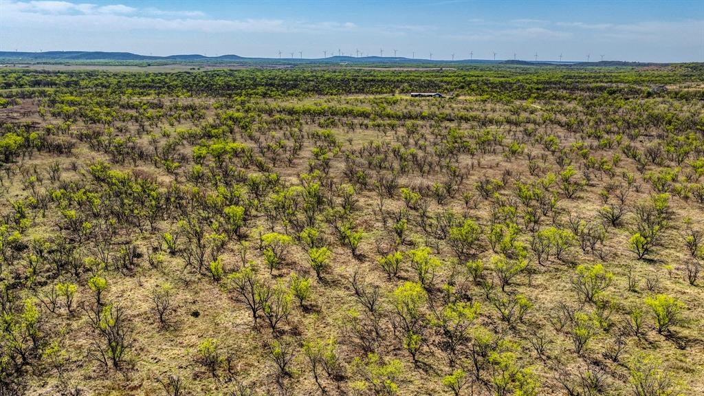 5600 Roney Road Loving, TX 76460 - Photo 12 of 27