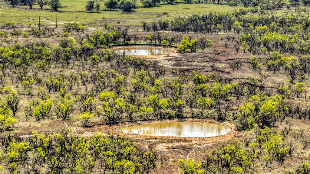5600 Roney Road Loving, TX 76460 - Photo 13 of 27