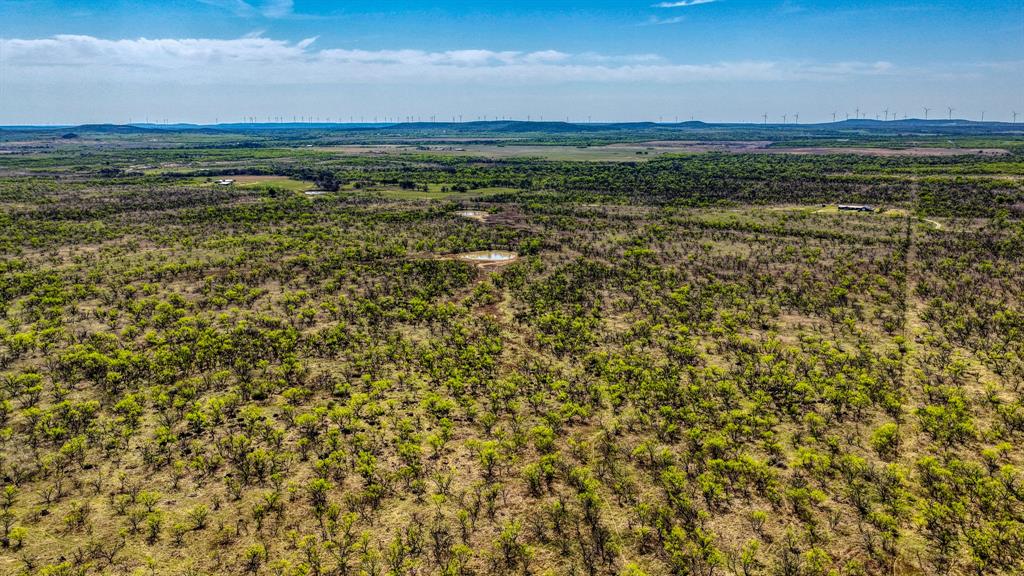 5600 Roney Road Loving, TX 76460 - Photo 14 of 27