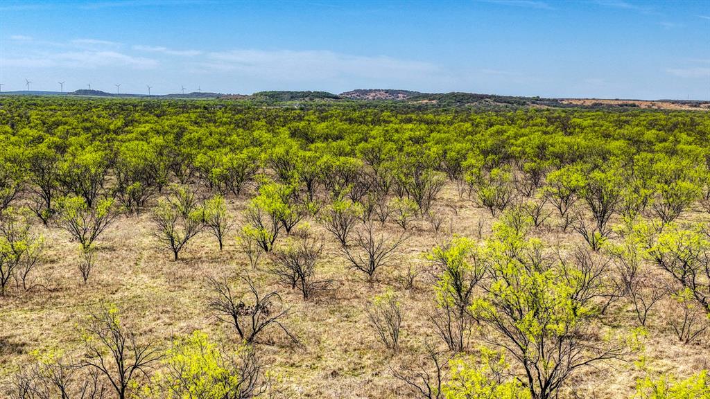 5600 Roney Road Loving, TX 76460 - Photo 15 of 27