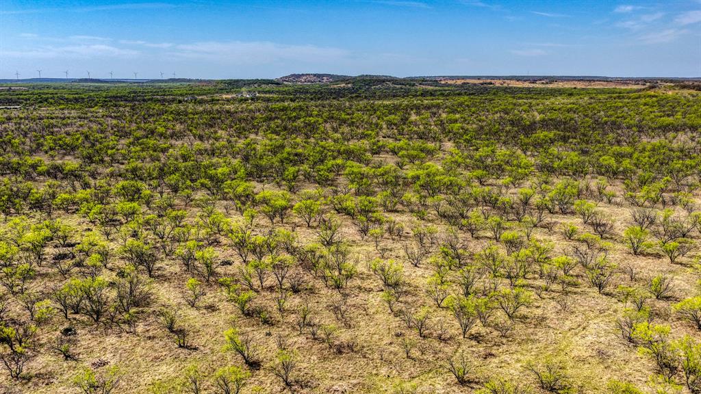 5600 Roney Road Loving, TX 76460 - Photo 16 of 27