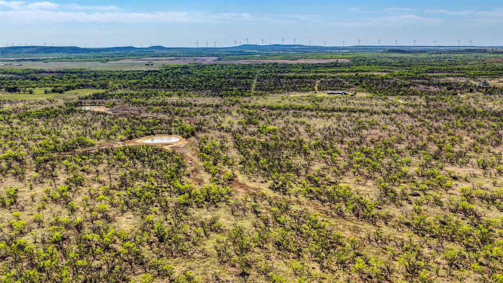 5600 Roney Road Loving, TX 76460 - Photo 17 of 27