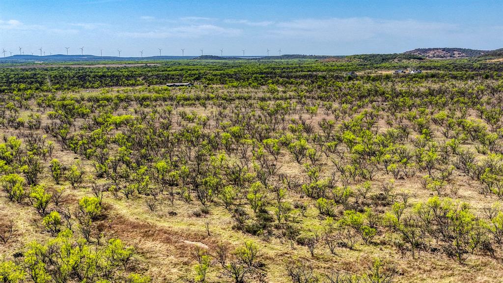 5600 Roney Road Loving, TX 76460 - Photo 18 of 27