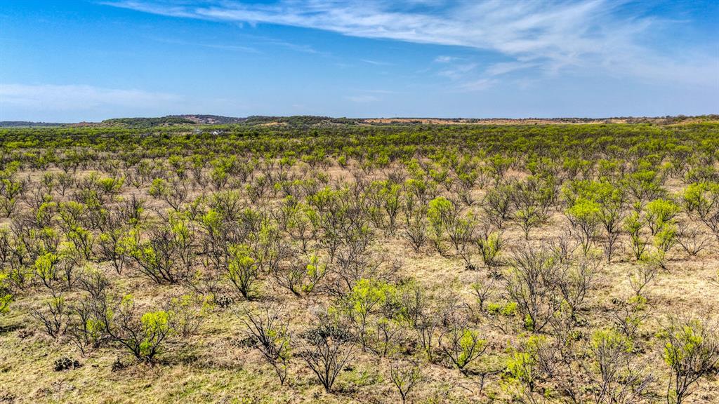 5600 Roney Road Loving, TX 76460 - Photo 19 of 27