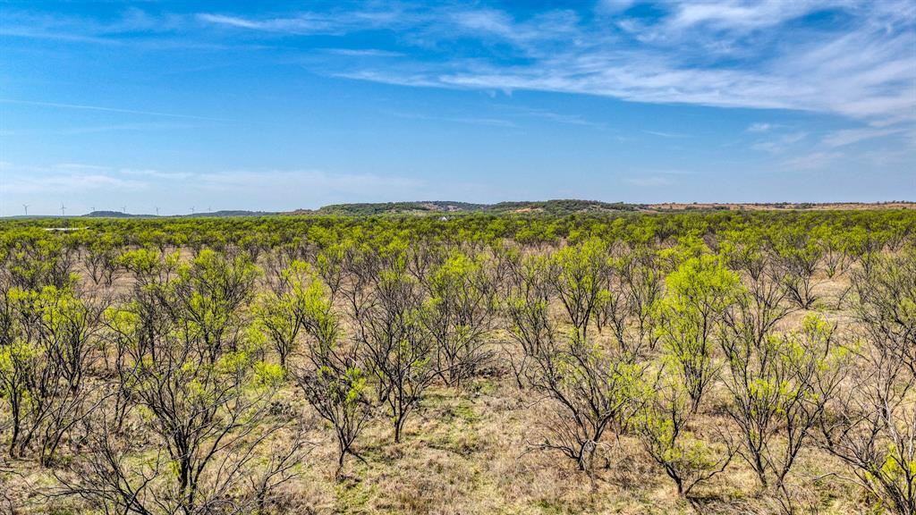5600 Roney Road Loving, TX 76460 - Photo 20 of 27