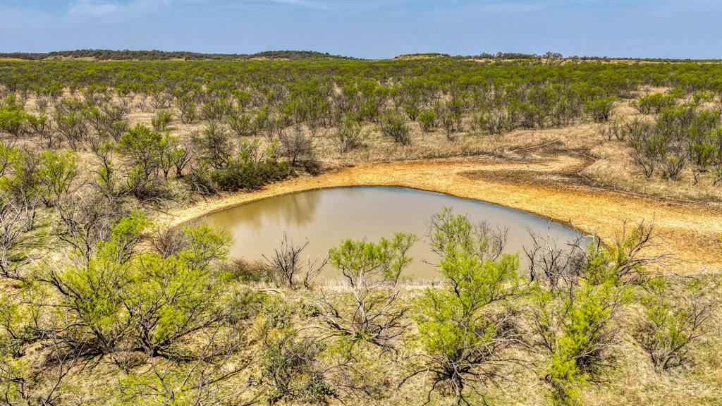 5600 Roney Road Loving, TX 76460 - Photo 2 of 27