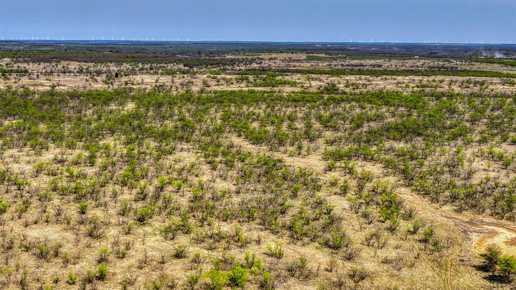 5600 Roney Road Loving, TX 76460 - Photo 21 of 27