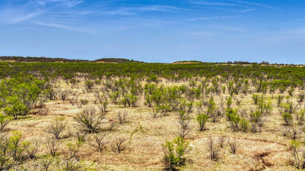 5600 Roney Road Loving, TX 76460 - Photo 23 of 27