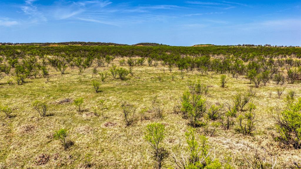 5600 Roney Road Loving, TX 76460 - Photo 25 of 27