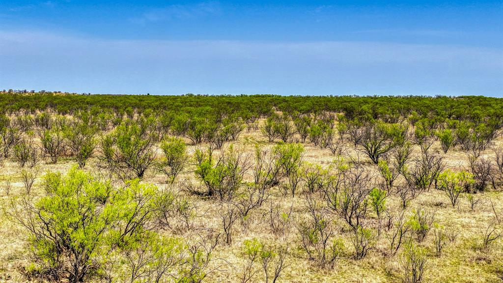 5600 Roney Road Loving, TX 76460 - Photo 26 of 27