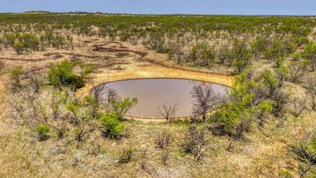 5600 Roney Road Loving, TX 76460 - Photo 3 of 27