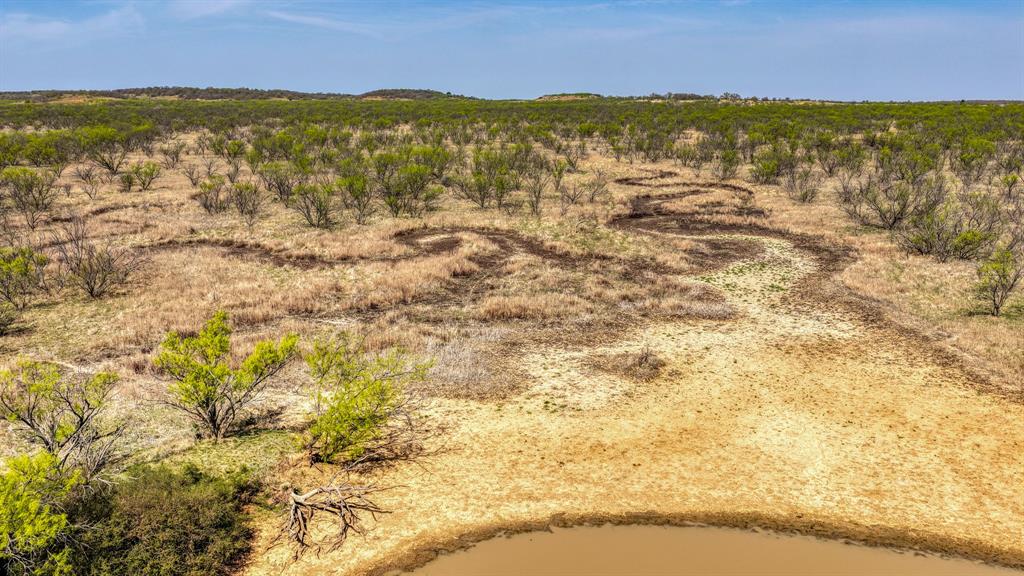 5600 Roney Road Loving, TX 76460 - Photo 4 of 27