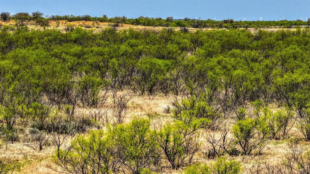 5600 Roney Road Loving, TX 76460 - Photo 5 of 27