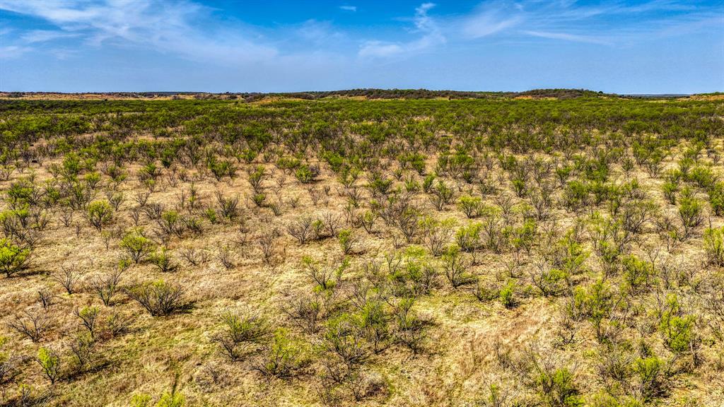 5600 Roney Road Loving, TX 76460 - Photo 6 of 27