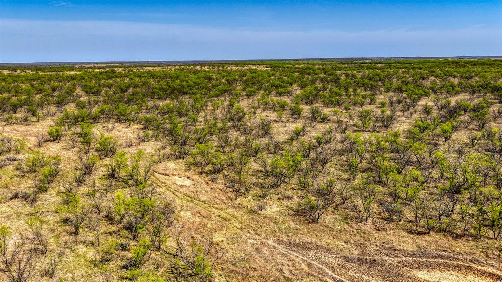 5600 Roney Road Loving, TX 76460 - Photo 7 of 27