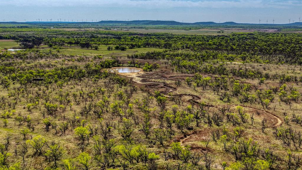 5600 Roney Road Loving, TX 76460 - Photo 8 of 27