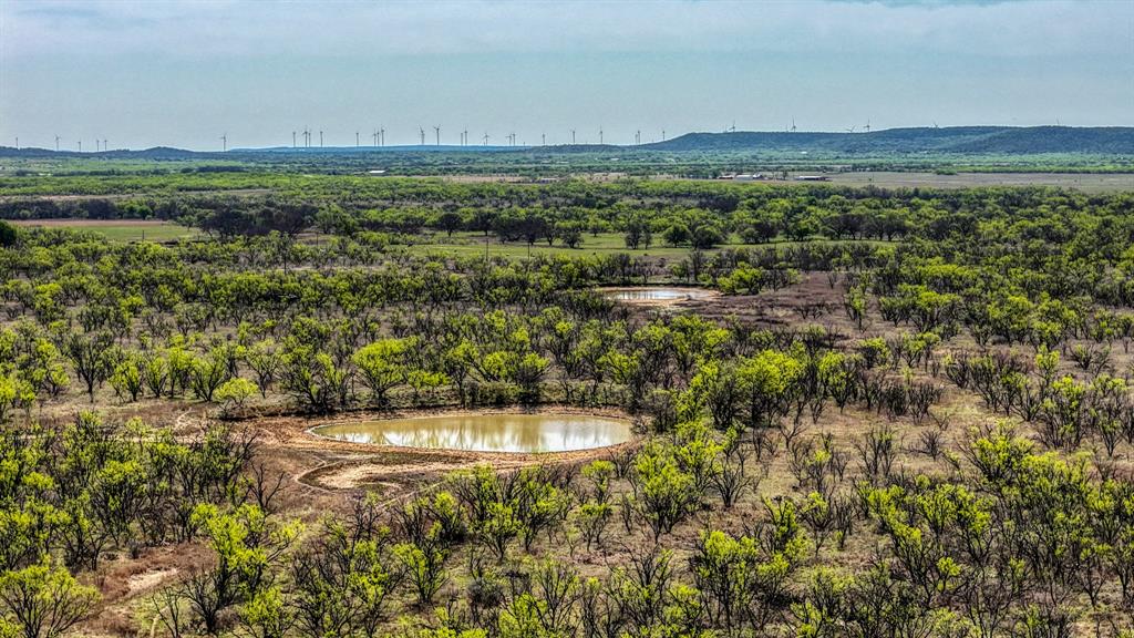 5600 Roney Road Loving, TX 76460 - Photo 9 of 27