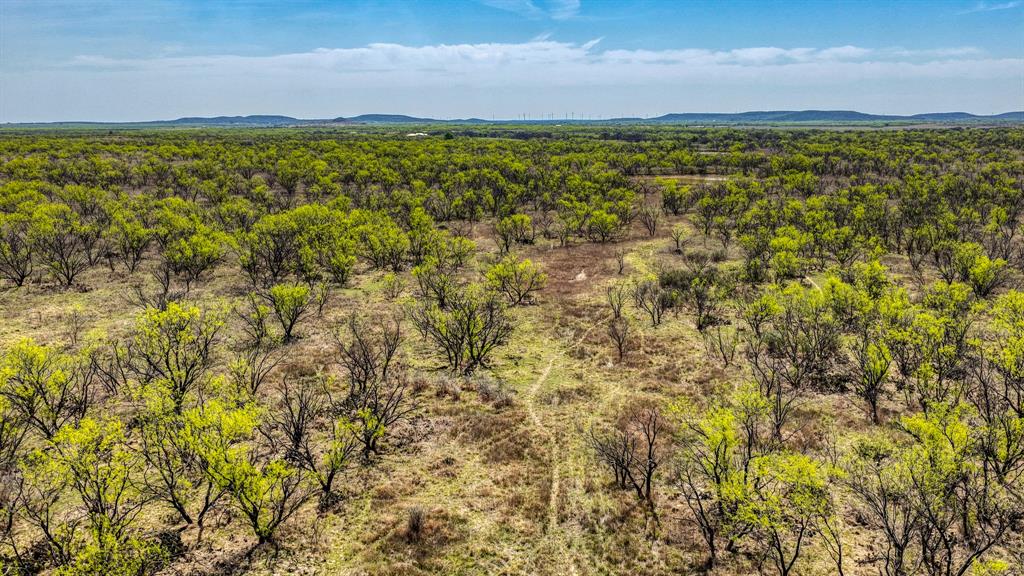 5600 Roney Road Loving, TX 76460 - Photo 10 of 27