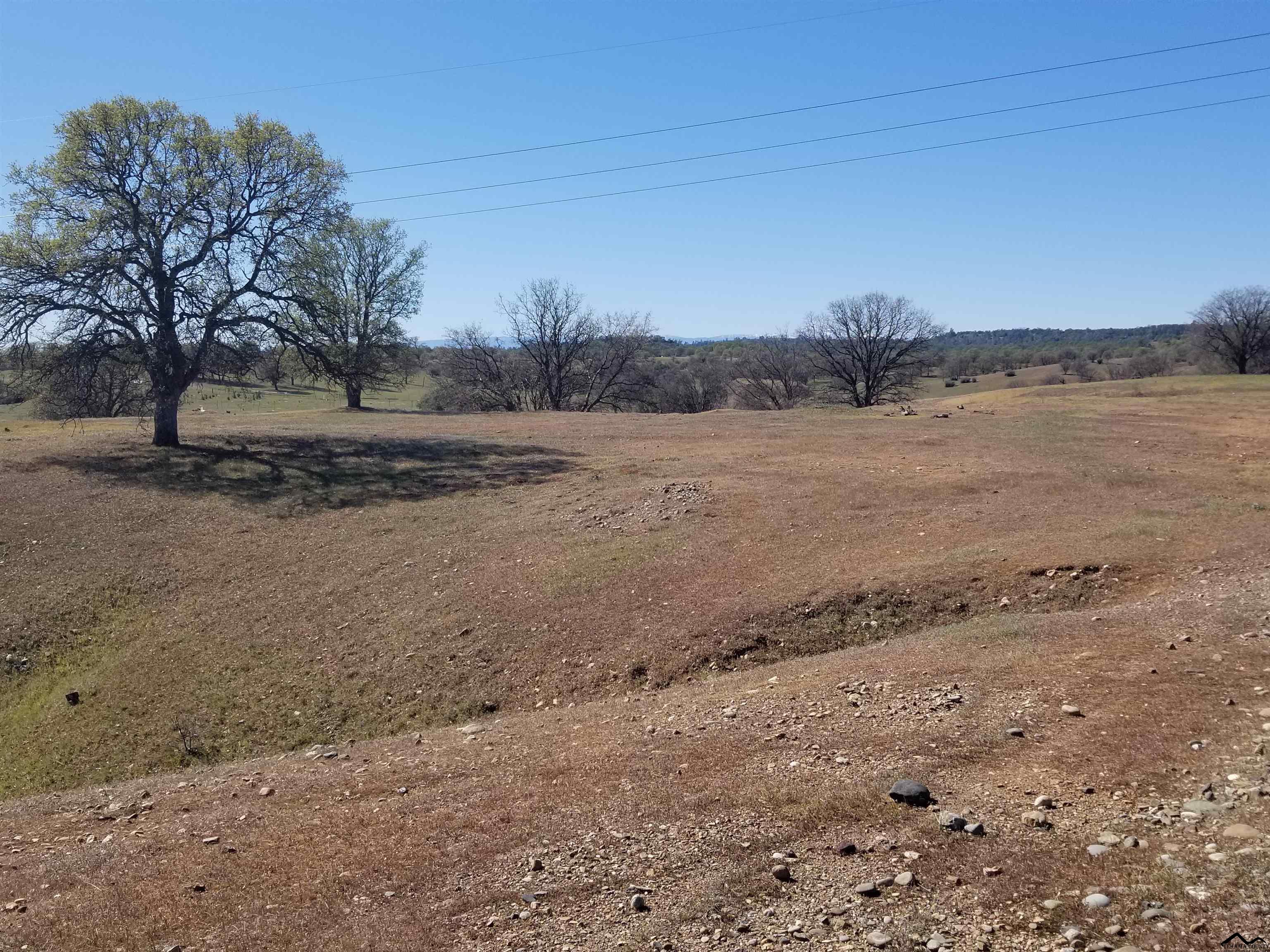 0 Riverview Ranch Road Red Bluff, CA 96080 - Photo 1 of 20 Gallery Image 1