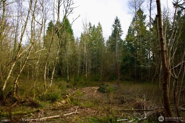 $769,000 | 16912 222nd Street East, Graham, WA 98338