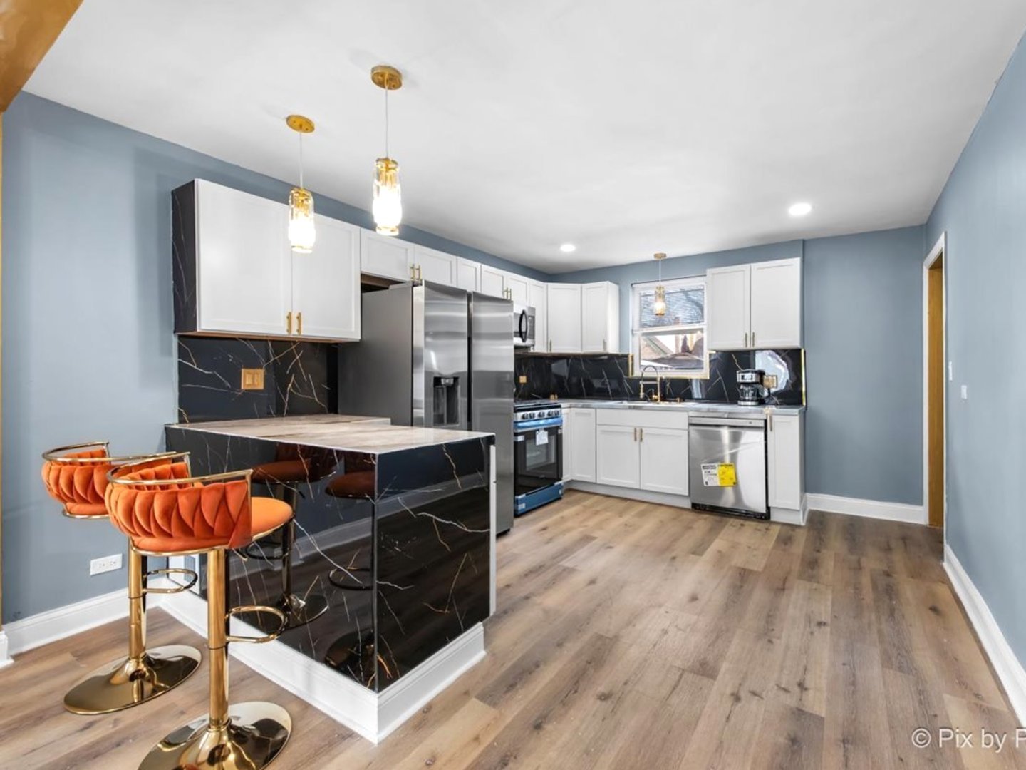 12249 South Perry Avenue Chicago, IL 60628 - Photo 3 of 48