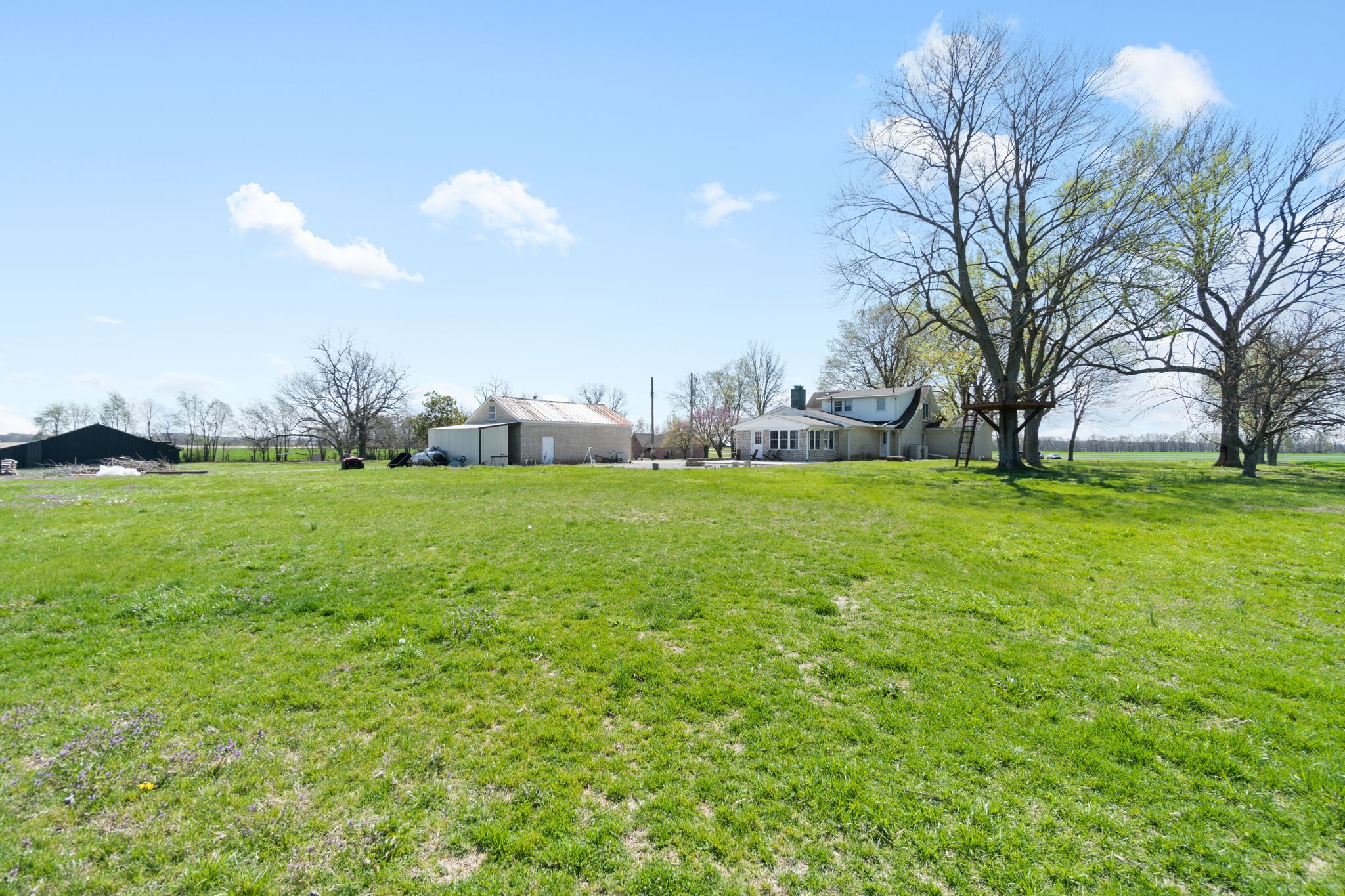 5150 Cadiz Road Hopkinsville, KY 42240 - Photo 40 of 45 a view of yard with grass & palm trees