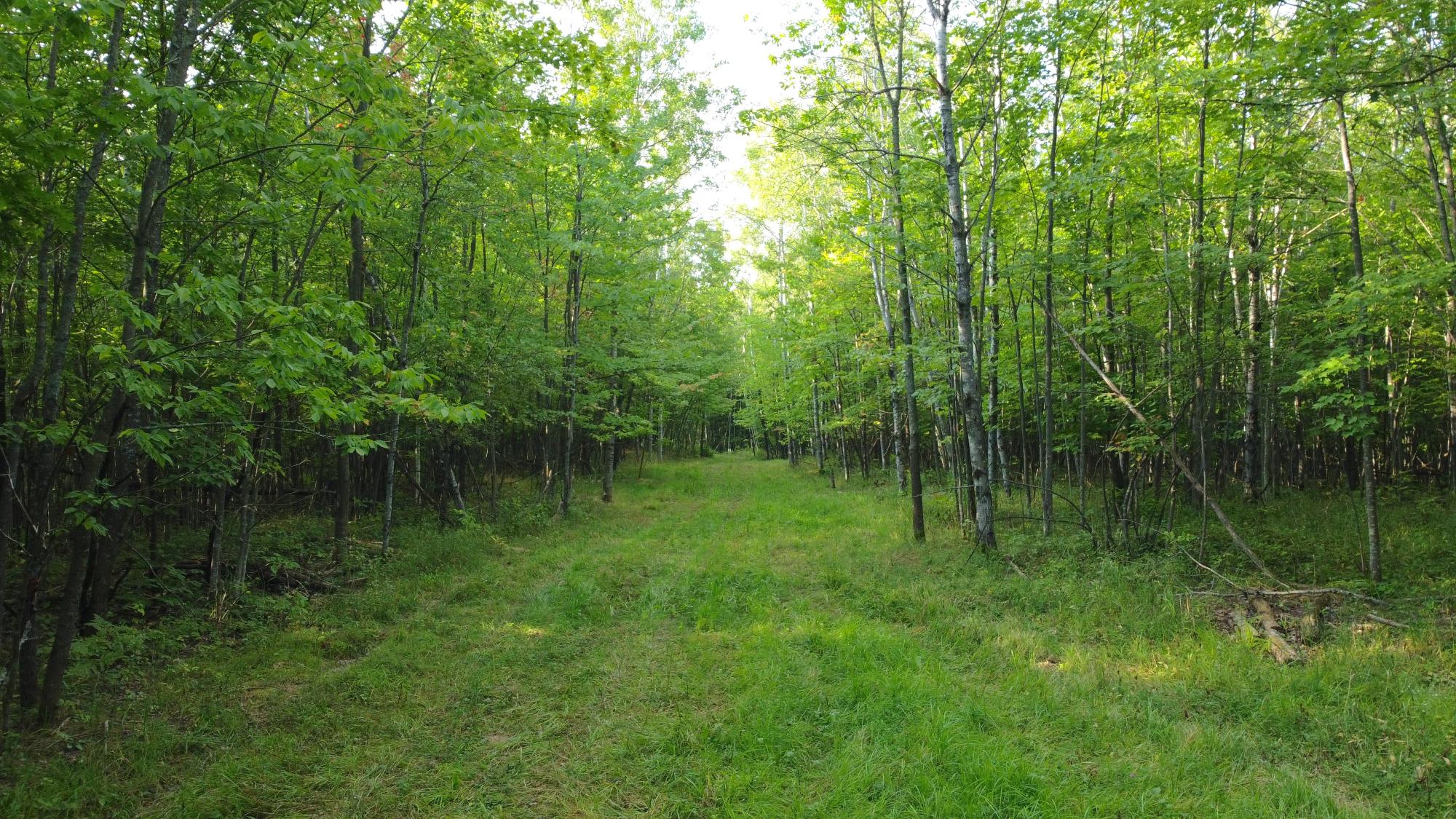 60240 Stuart Road Mason, WI 54856 - Photo 61 of 99 Gallery Image 61