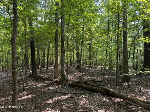 $130,000 | 1 Old Dover Road, Bentonia, MS 39040