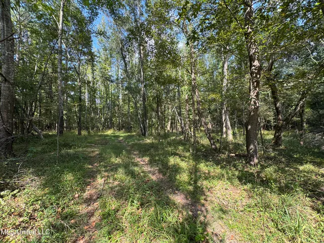 $130,000 | 1 Old Dover Road, Bentonia, MS 39040