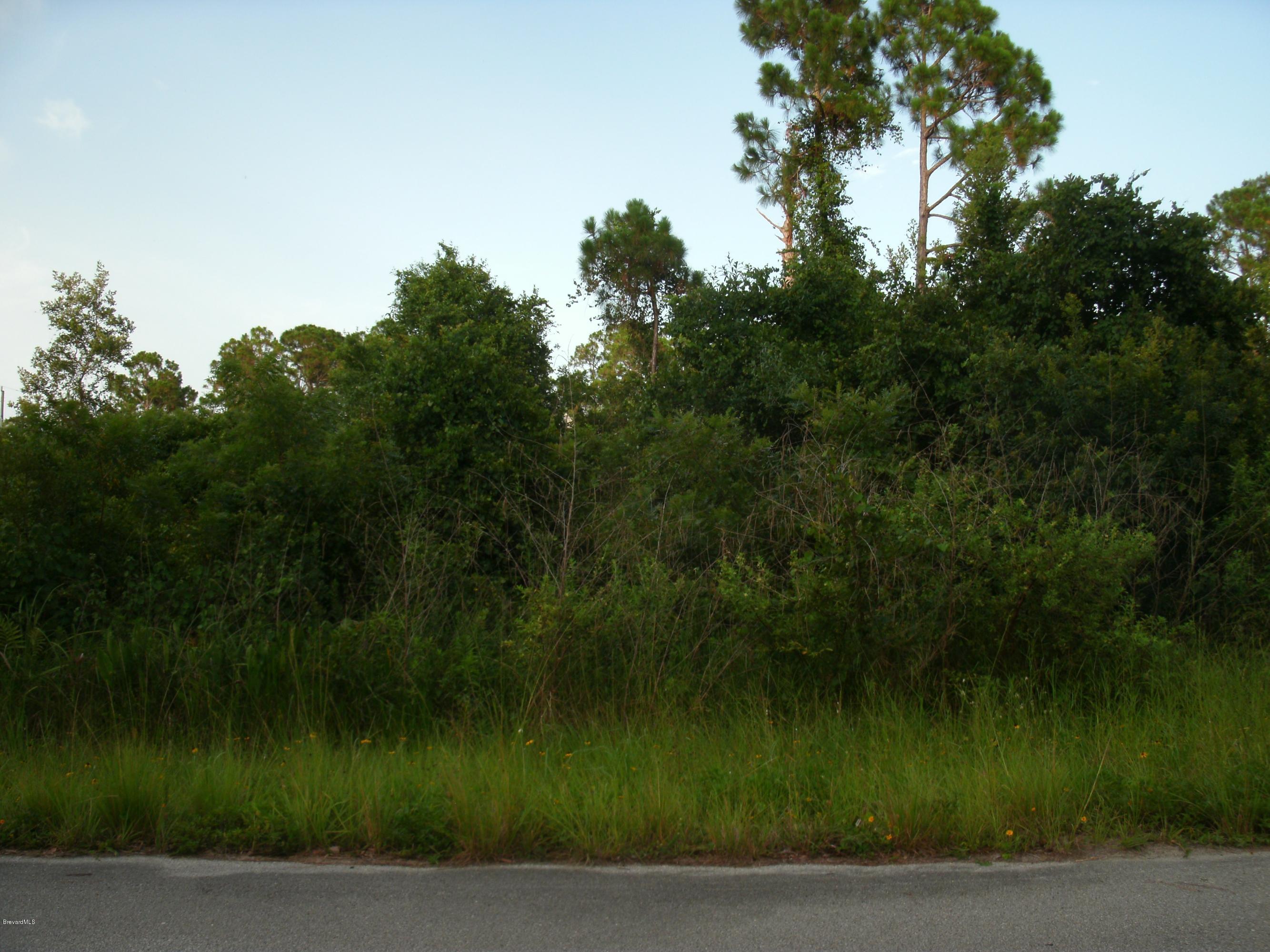 0 Southeast Ricardo Street Palm Bay, FL 32909 - Photo 1 of 4 2010-11-12 00