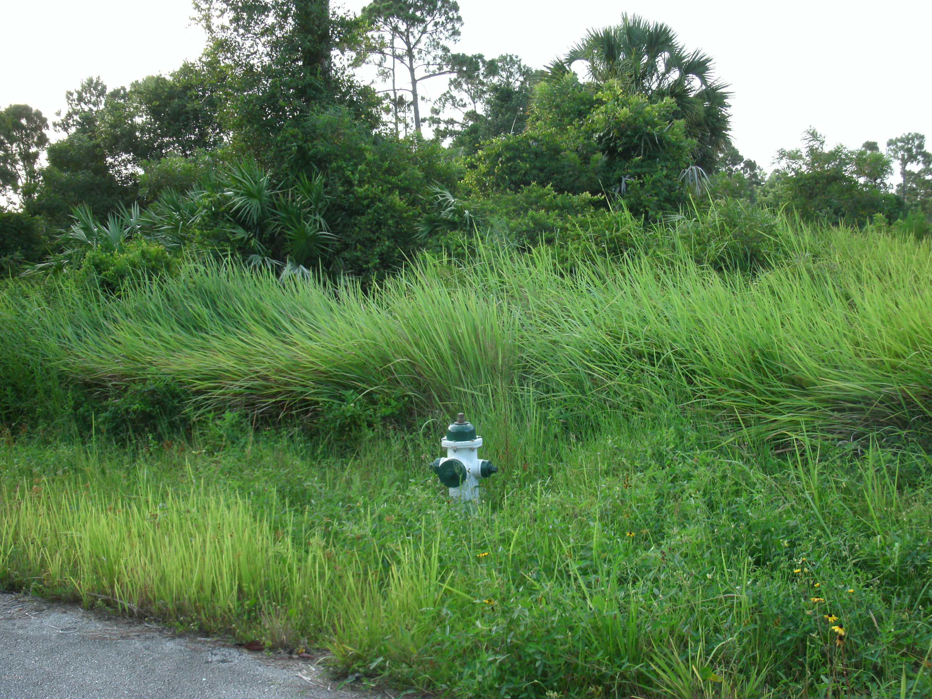 0 Southeast Ricardo Street Palm Bay, FL 32909 - Photo 2 of 4 2010-11-12 00.56.15
