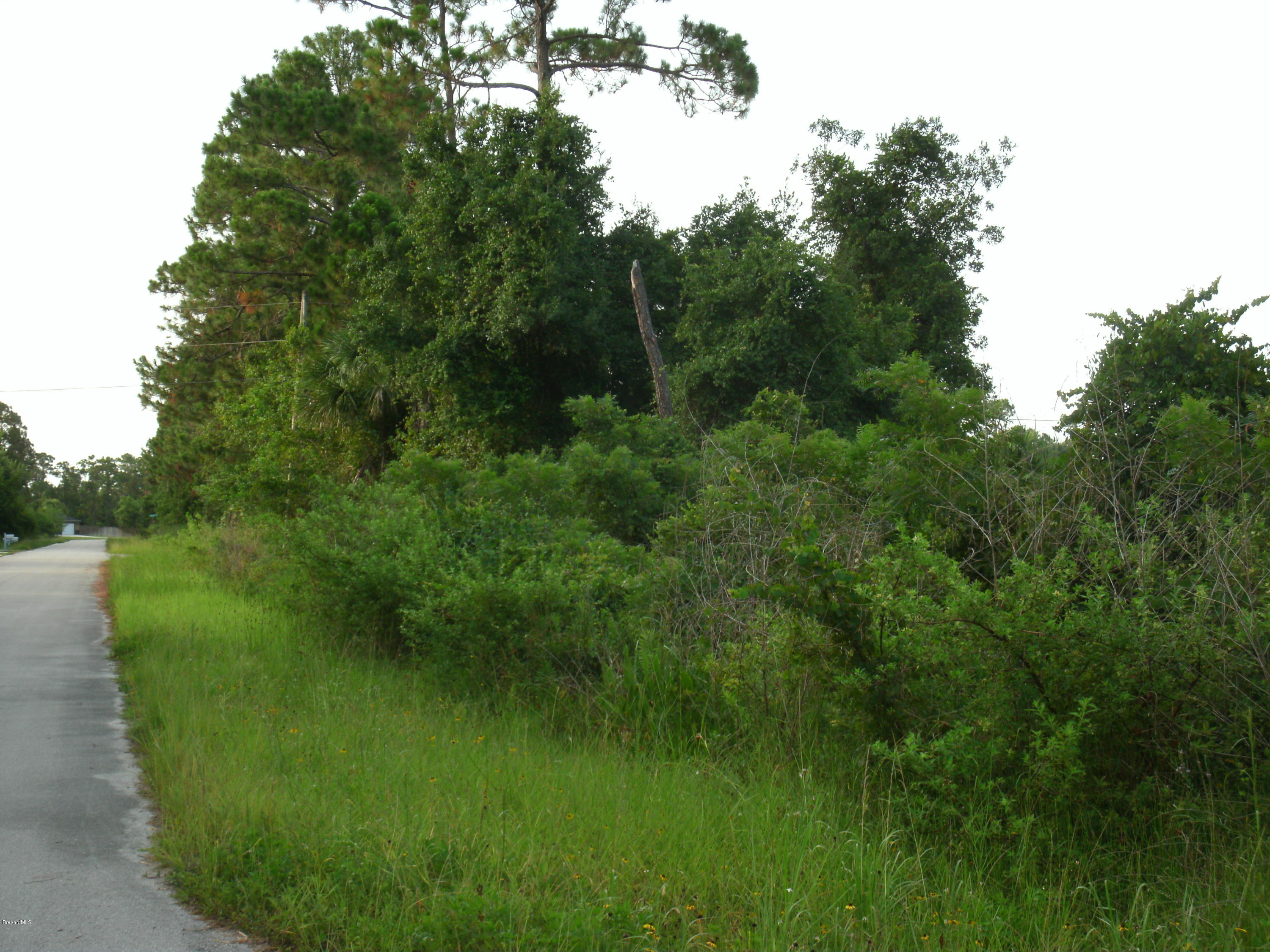 0 Southeast Ricardo Street Palm Bay, FL 32909 - Photo 3 of 4 2010-11-12 00.54.16