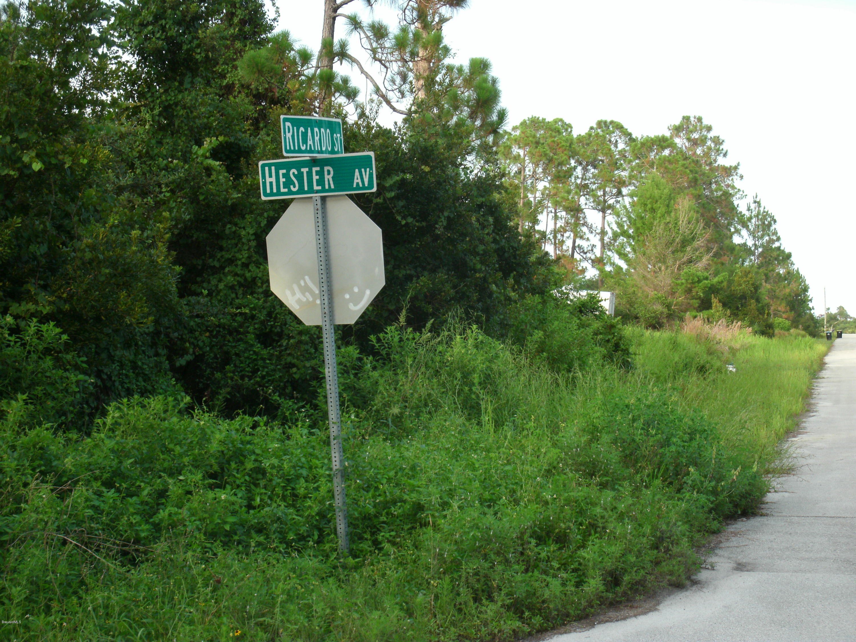 0 Southeast Ricardo Street Palm Bay, FL 32909 - Photo 4 of 4 2010-11-12 00.54.07