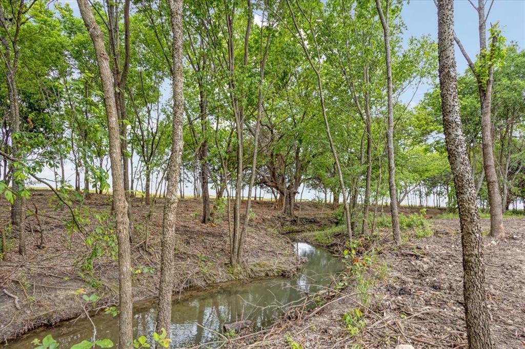 0 Jameson Road Sherman, TX 75090 - Photo 4 of 29