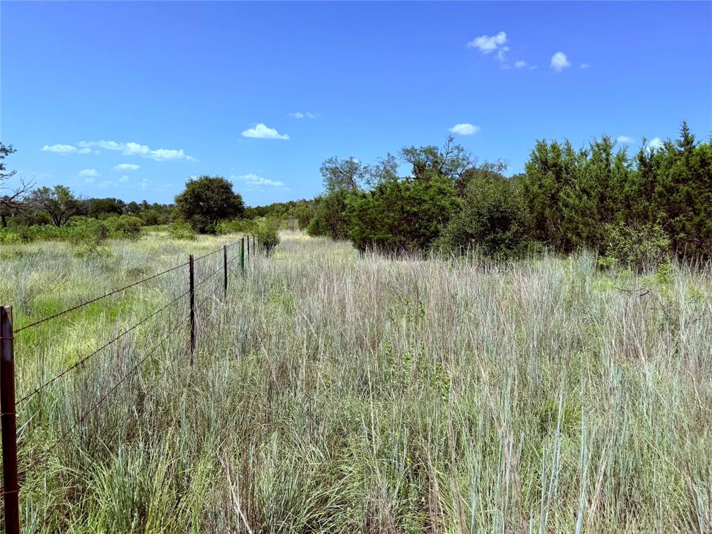 Lot 16 Private Road 3032 Road Hamilton, TX 76531 - Photo 6 of 14